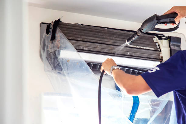 Air Duct Mold Removal in FL